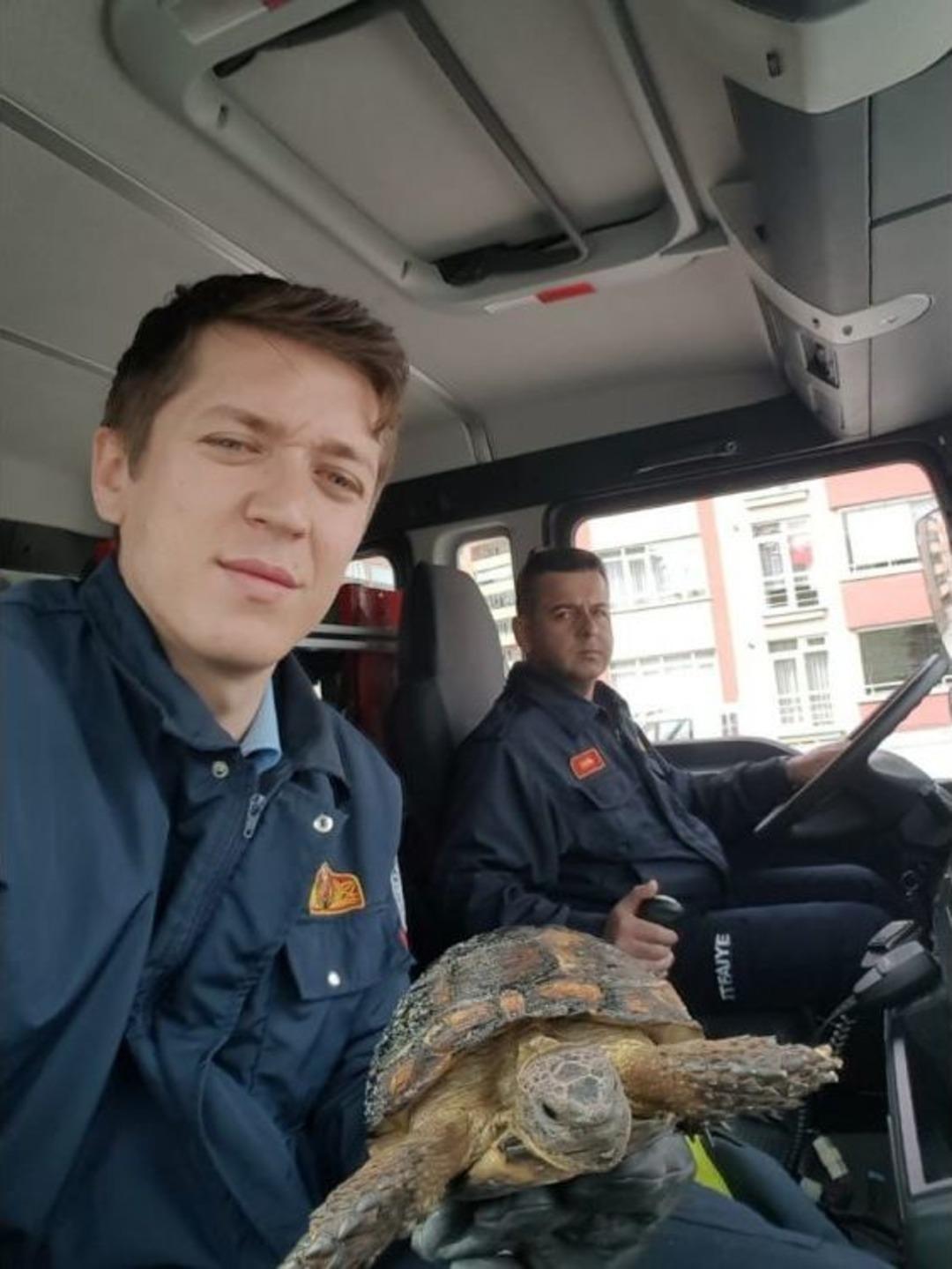 Alevler Arasında Kalan Minik Kaplumbağanın İmdadına İtfaiye Ekipleri Yetişti