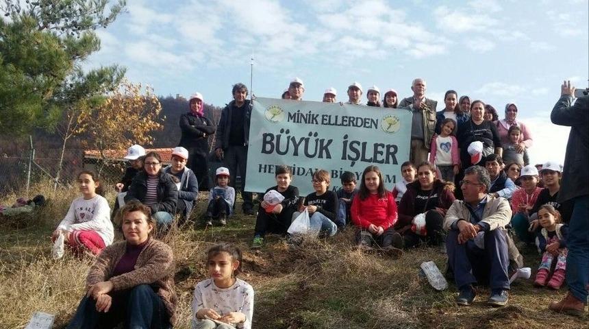 Yanan Alanlar Yeniden Ağa&ccedil;landırılıyor