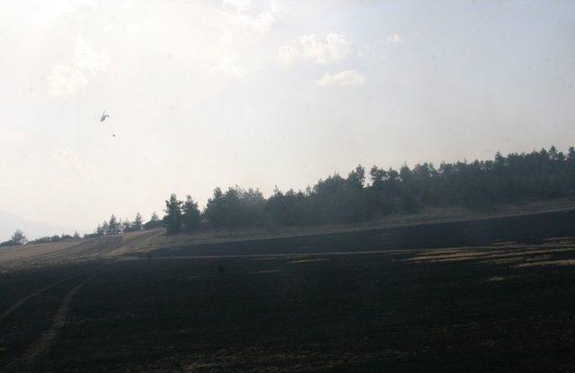 Vali Karahan, Orman Yangını İle İlgili Açıklamalarda Bulundu