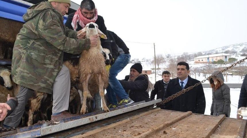 2018 Yılı Gen&ccedil; &Ccedil;ift&ccedil;i Destek Başvuruları Başlıyor