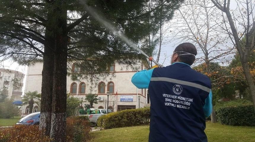 Haşereyle 50 Bin Noktada M&uuml;cadele