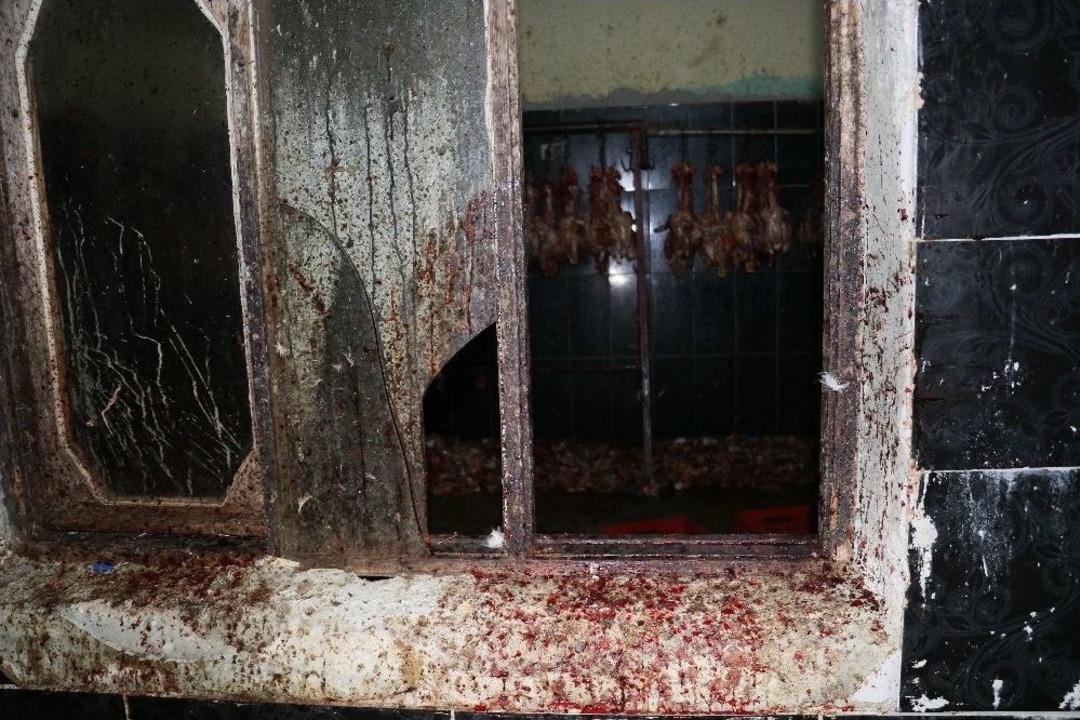 Ka&ccedil;ak Tavuk Kesimhanesine Operasyon: 7 G&ouml;zaltı