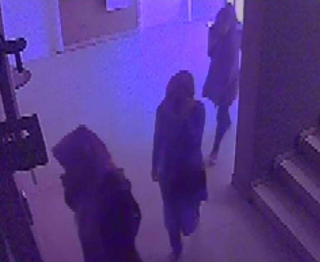 Adana Polisi 20 İlde Hırsızlık Yapan Kadınları Yakaladı