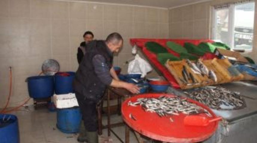 Şaphane&rsquo;de Sardalyanın Kilosu 6 Tl