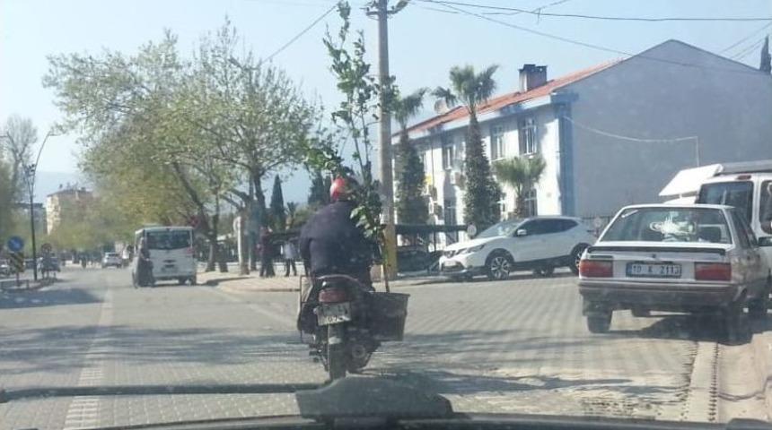 Motosiklet İle Yaklaşık 3 Metrelik Ağacı Taşıdı