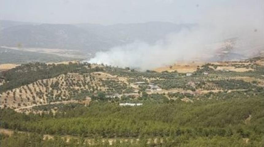 Bozdoğan’da Orman Yangını