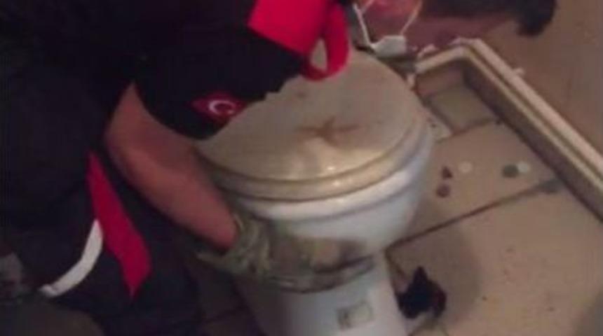 (özel) Klozete Sıkışan Yavru Kediyi Kurtarma Operasyonu Kamerada