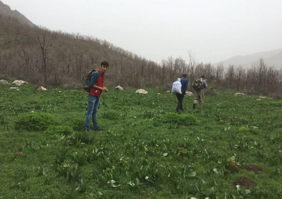 Şifalı Ot İ&ccedil;in Kilometrelerce Yol Y&uuml;r&uuml;yorlar