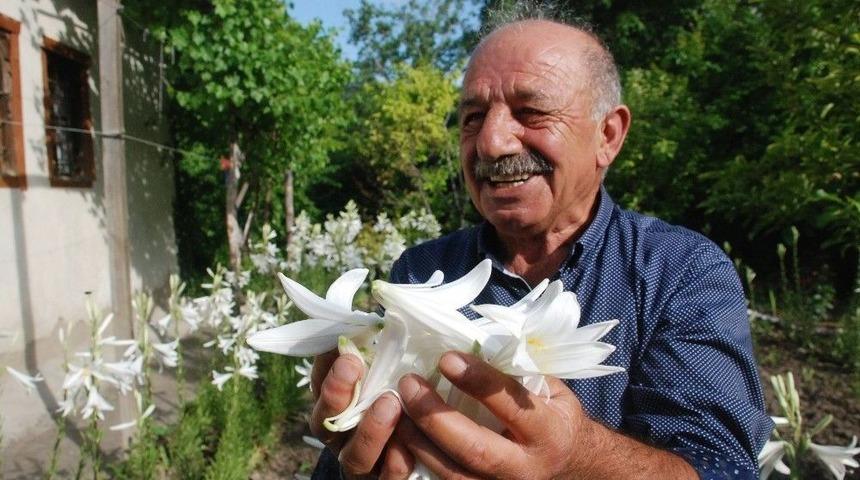 &Ccedil;i&ccedil;eğinin Kilosu 120 Lira, Yağı 5 Bin Avro