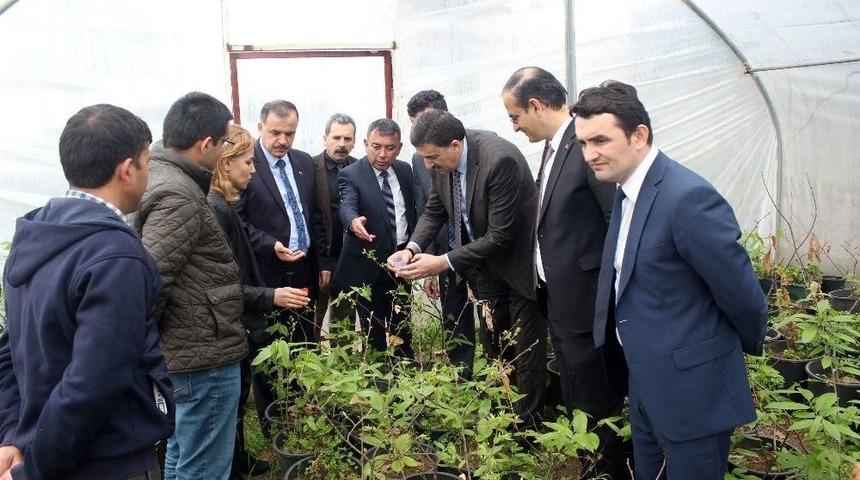 Terminat&ouml;r B&ouml;cekler Doğaya Bırakıldı