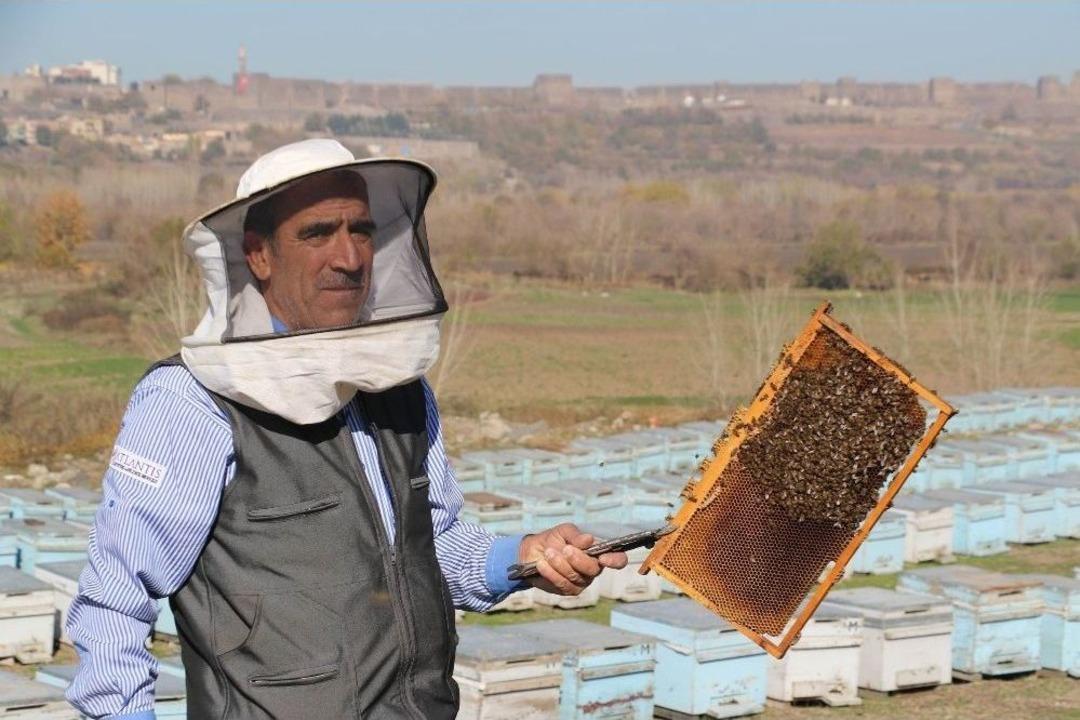 D&uuml;nya K&uuml;lt&uuml;r Mirası Işığında Arıcılık