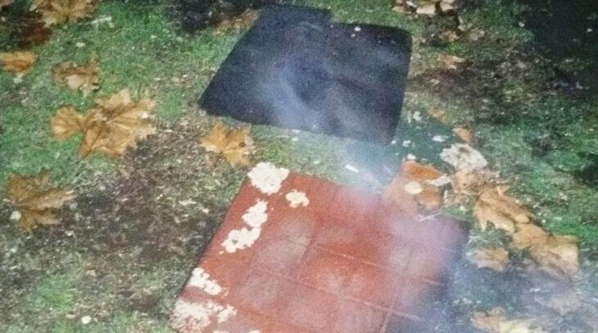 Şehir Magandaları Parklara Zarar Verdi