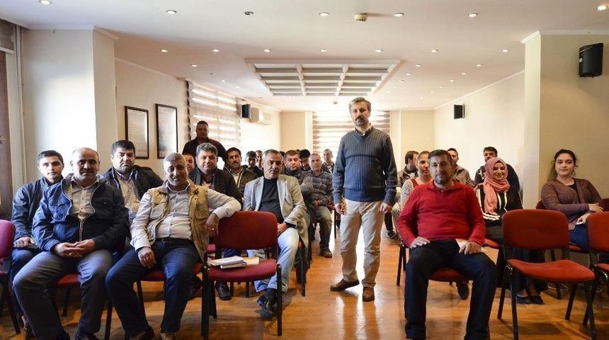 Yağmurlama Sulama Bitkiyi Dondan Da Koruyor