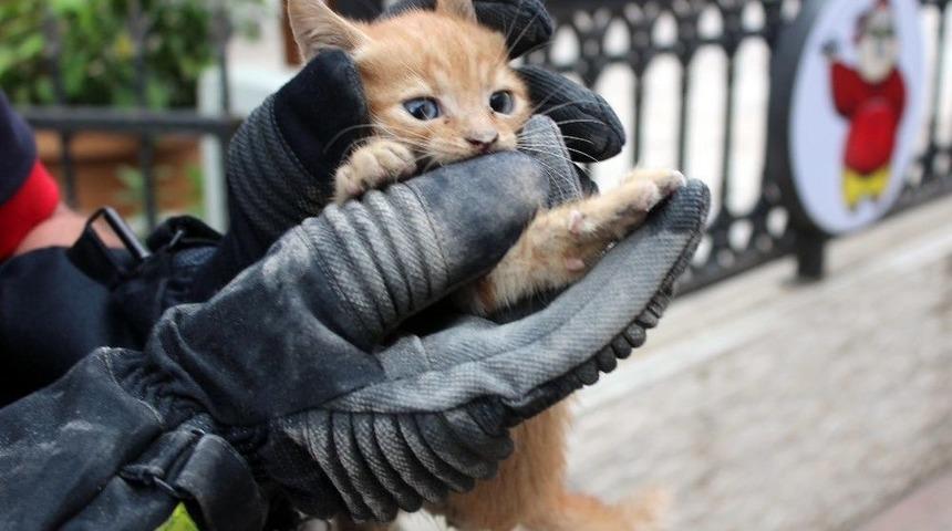 (&ouml;zel) Seyir Halinde Otomobilinden Kedi Sesi Gelince İtfaiyeyi Seferber Etti