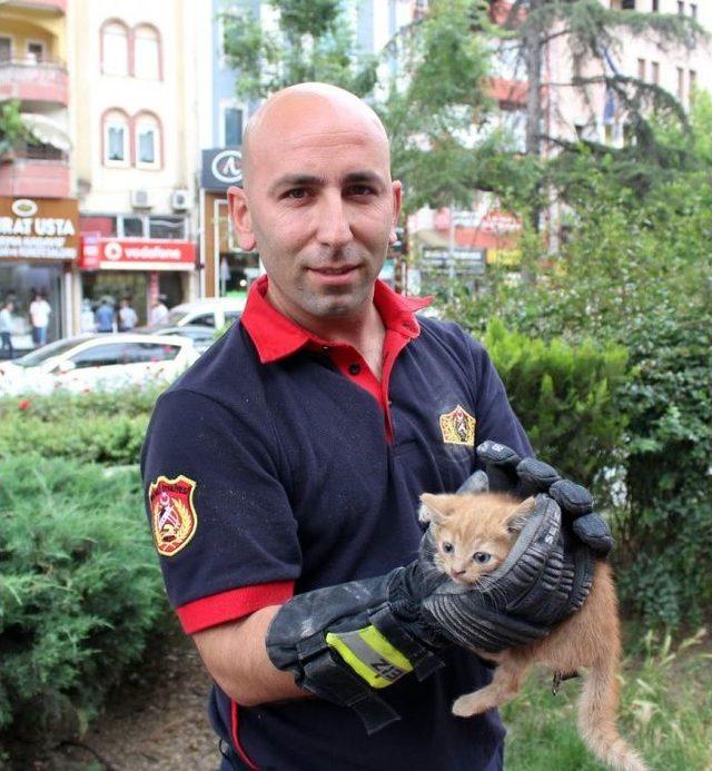 (özel) Seyir Halinde Otomobilinden Kedi Sesi Gelince İtfaiyeyi Seferber Etti