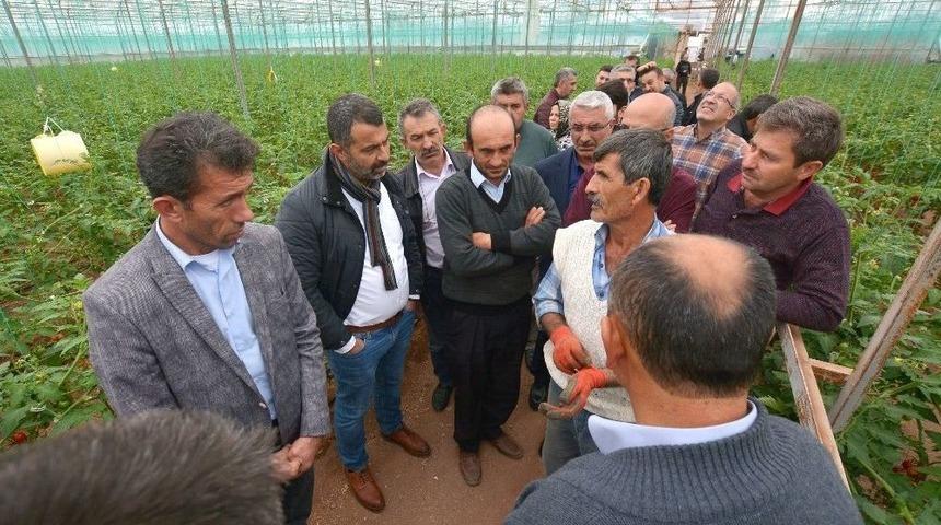 Turhallı &Ccedil;ift&ccedil;iler Kumluca&rsquo;da