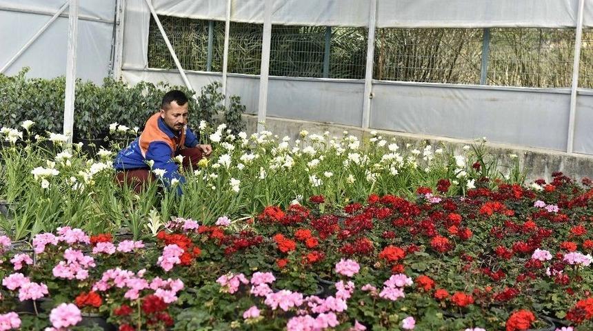 21 Bin 765 Bitki Ve &Ccedil;i&ccedil;ek G&uuml;n Sayıyor