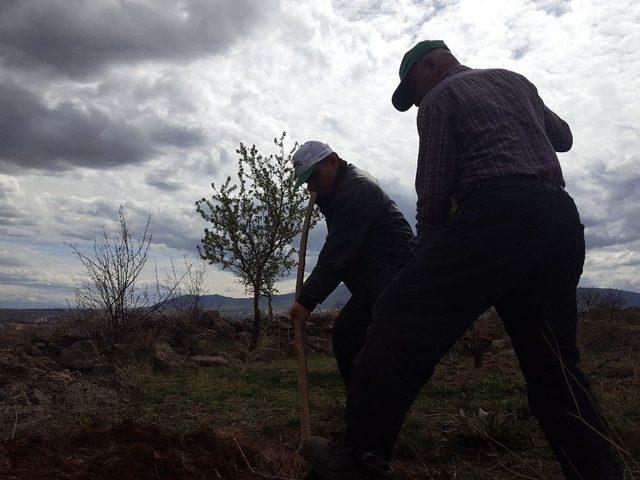 Havalar Isındı, Vatandaşlar Bağa Akın Etti