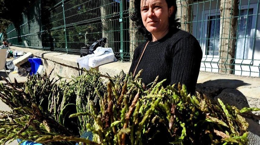 9. Ala&ccedil;atı Ot Festivali&rsquo;nin Teması: &rsquo;kuşkonmaz - Sarmaşık&rsquo;