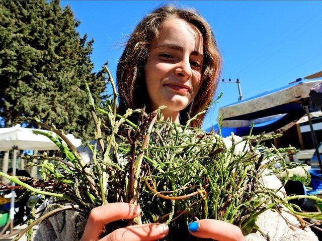 9. Alaçatı Ot Festivali’nin Teması: ’kuşkonmaz - Sarmaşık’