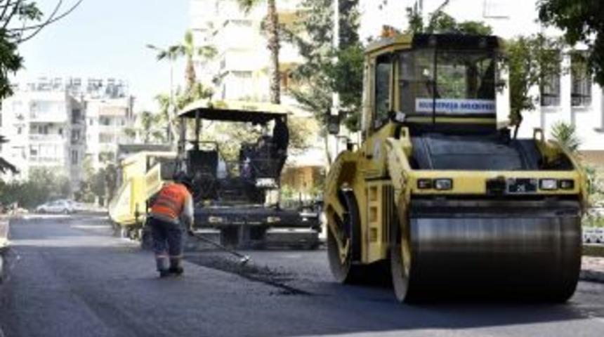 Zerdalilik, G&uuml;n Sayıyor