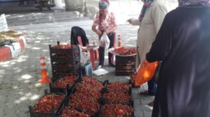 Yerli Çilek Kilosu 5 Tl’den Alıcı Buluyor