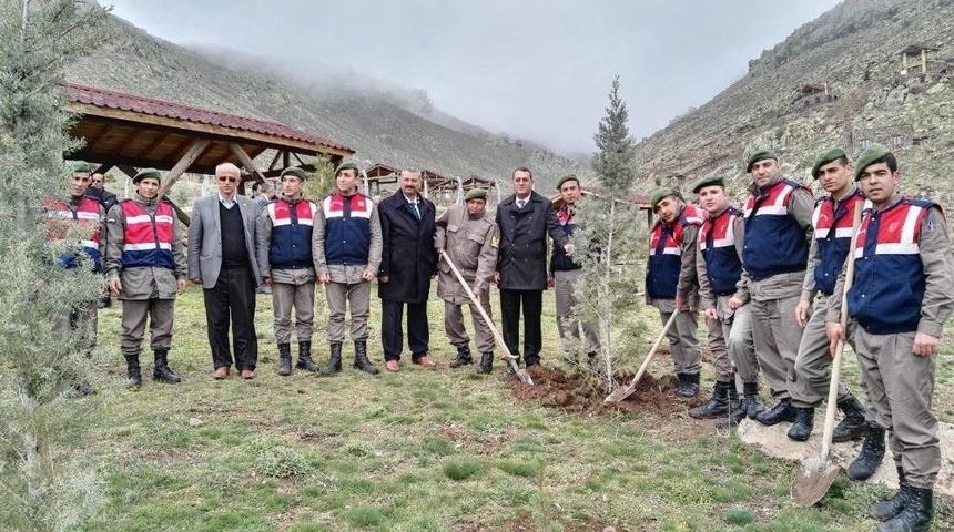 Altunhisar&rsquo;da Bin Ağa&ccedil; Toprakla Buluştu
