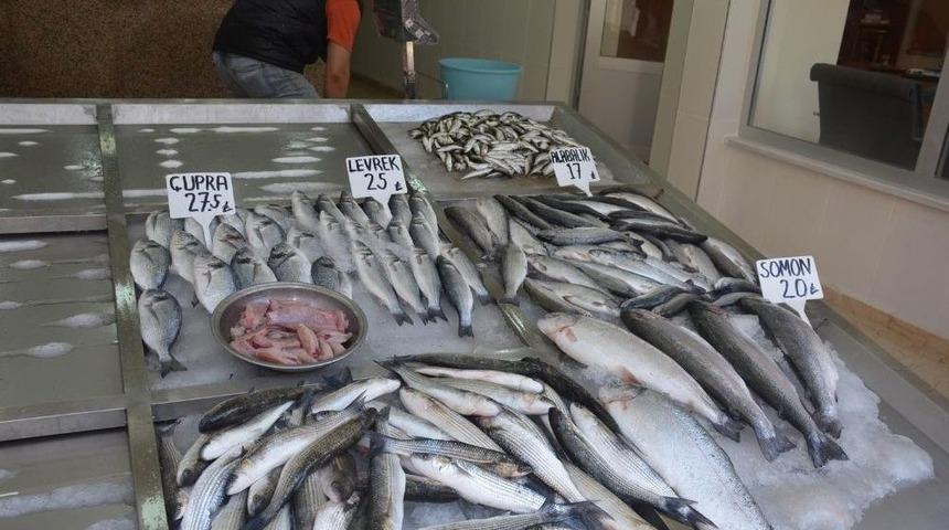 Sinop&rsquo;ta Ramazan&rsquo;da Balık Satışları D&uuml;şt&uuml;