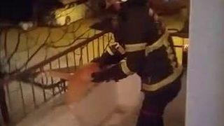 Kedinin Yaşam Savaşı Mutlu Bitti