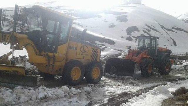 Rize’de Kar Nedeniyle Kapalı Yayla Yolları Açılıyor