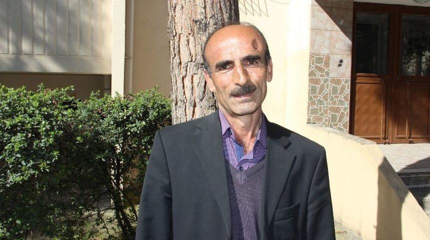 15 Metrelik Ağa&ccedil;ta Mahsur Kalan Kediyi Canı Pahasına Kurtardı