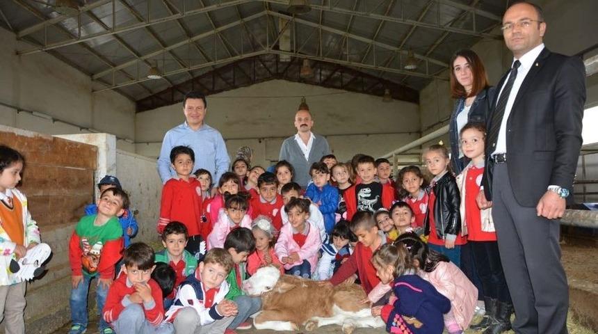 Aşkale&rsquo;de S&uuml;t Şenliği