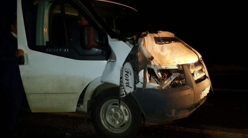 At Kazaya Neden Oldu:1 Yaralı