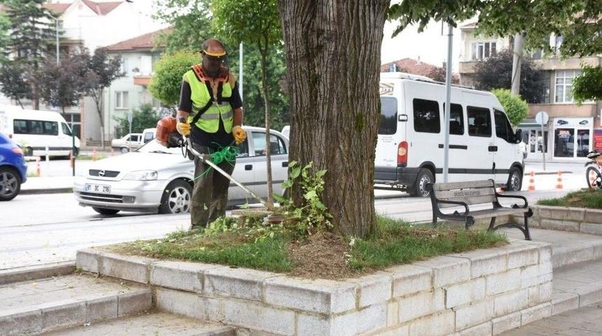 Düzce’de Çevre Düzenleme Çalışmaları Hızlandı