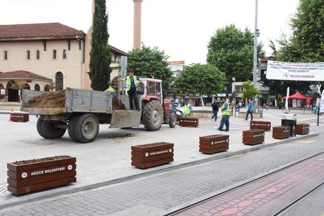 Düzce’de Çevre Düzenleme Çalışmaları Hızlandı