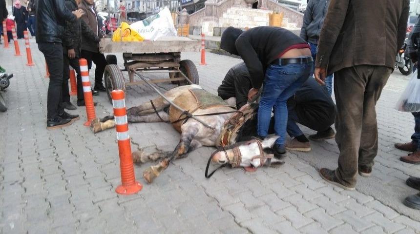 Atı Bayılınca Gazetecilere Saldırdı