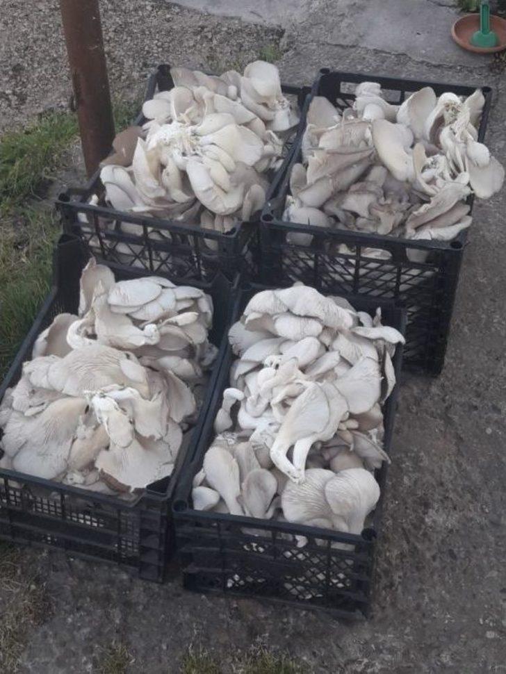 Merakla Başladığı Üretim, Aile Ekonomisine Katkı Sağlıyor G3