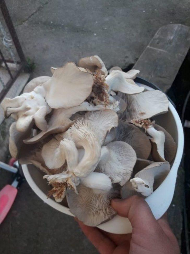 Merakla Başladığı Üretim, Aile Ekonomisine Katkı Sağlıyor G5