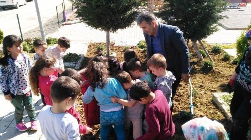 Minik Eller Fidan Dikti