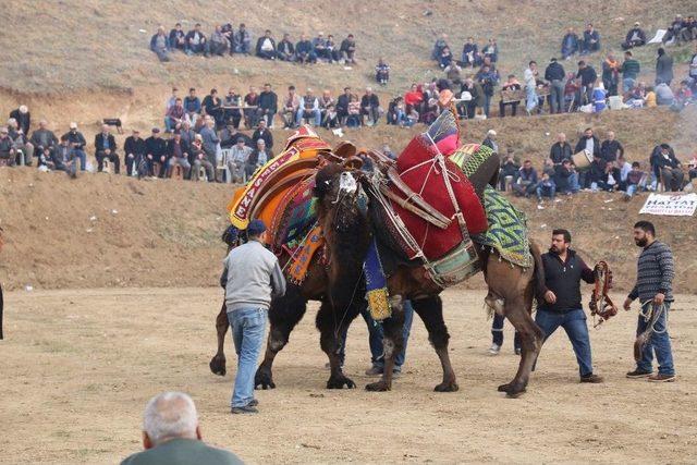 Develer Aşevi Yararına Güreşti