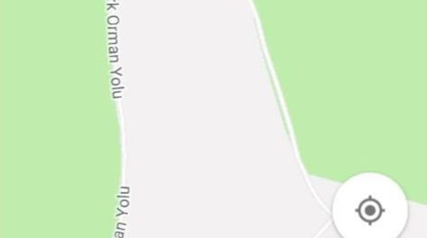 &rsquo;kolokotronis&rsquo; Adı Silindi, &rsquo;atat&uuml;rk Orman Yolu&rsquo; Oldu