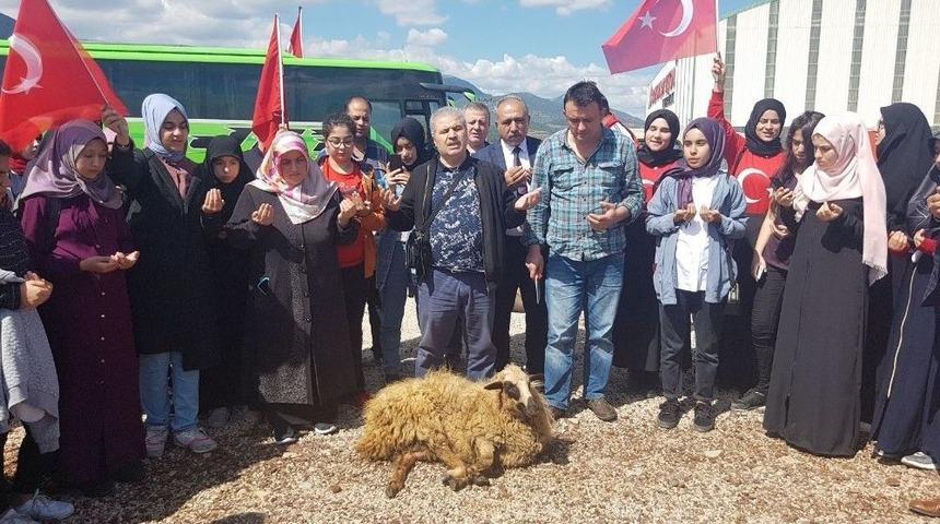Mersin&rsquo;den Gelen &Ouml;ğrenciler Hassa&rsquo;da Mehmet&ccedil;ik İ&ccedil;in Kurban Kesti