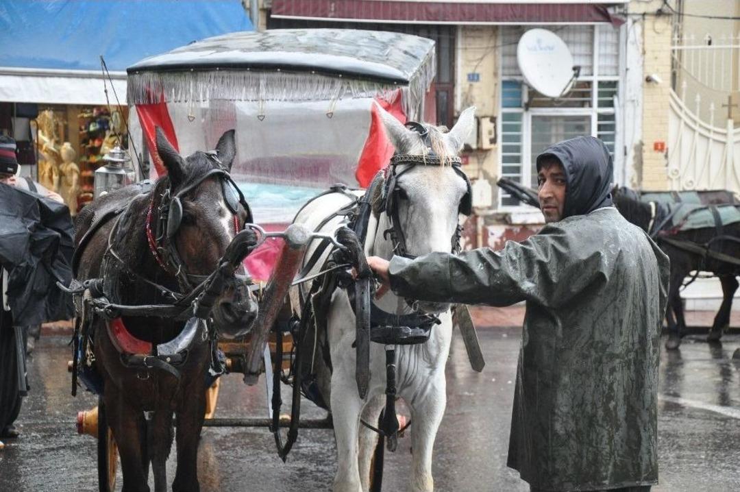 Adalardaki Atlarda Ruam Salgını Ş&uuml;phesi