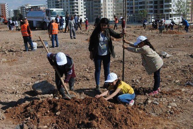 Çocuklar Gelecekleri İçin Ağaç Dikti