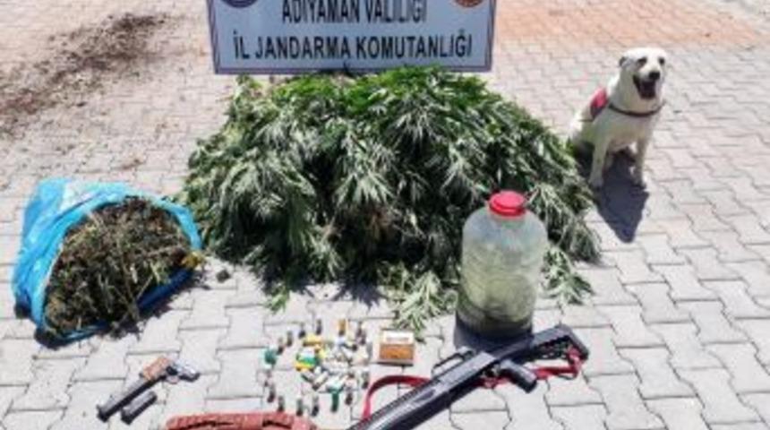 Jandarma &Ccedil;ok Miktarda Uyuşturucu Ve Silah Ele Ge&ccedil;irdi