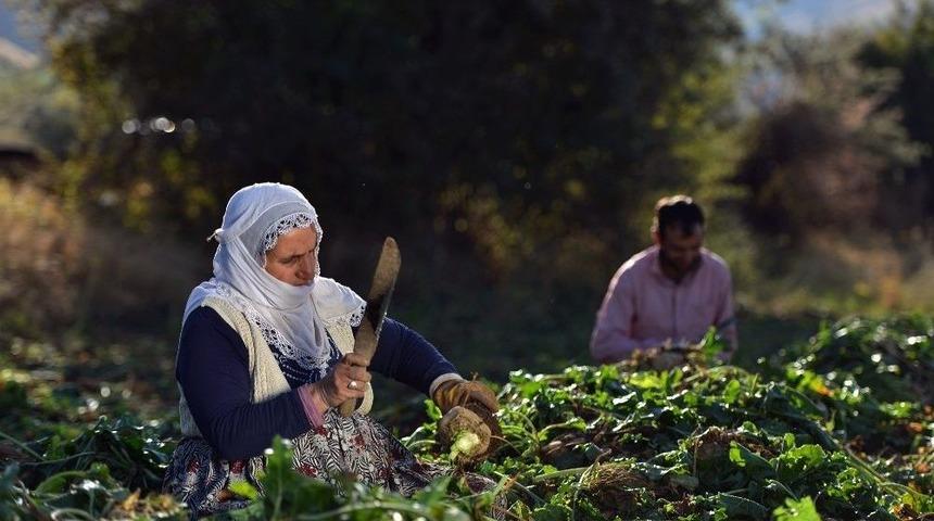 Gevaş Belediyesini Ulusal Fotoğraf Yarışması Sonu&ccedil;landı