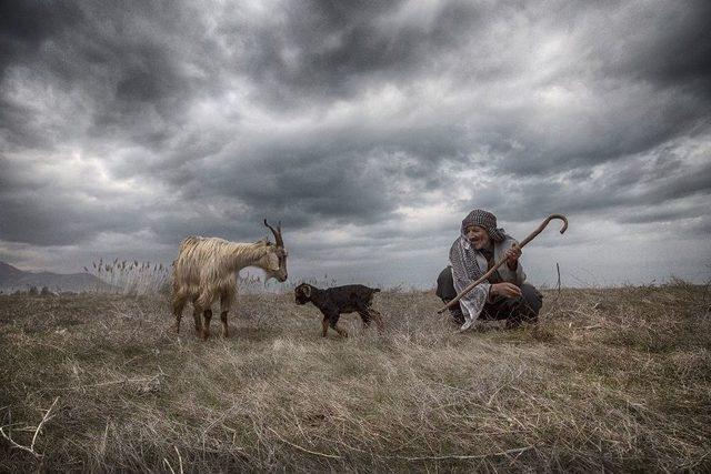 Gevaş Belediyesini Ulusal Fotoğraf Yarışması Sonuçlandı