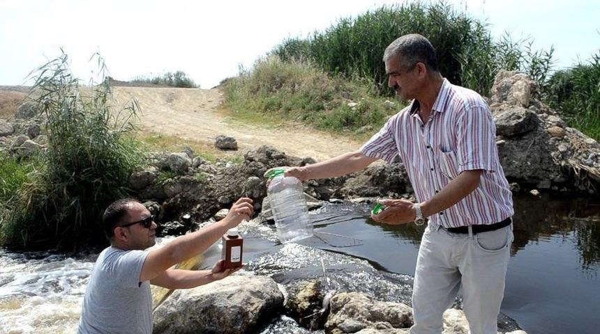 S&ouml;ke&rsquo;deki Balık &Ouml;l&uuml;mlerinin Nedeni Kurumlarca Araştırılıyor