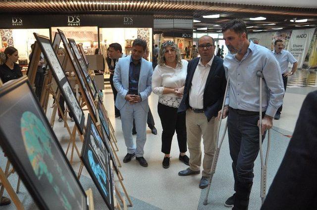 Kozlu Anadolu Lisesi Yılsonu Resim Sergisi Açıldı