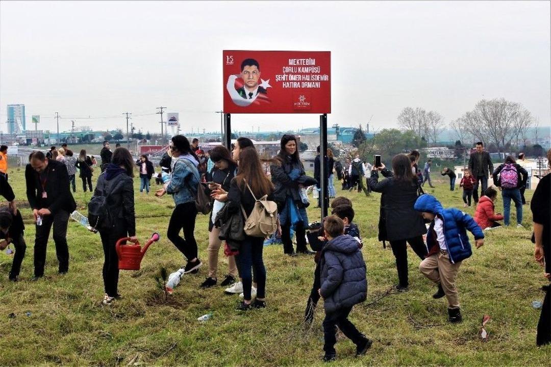 Tekirdağ&rsquo;da Şehit &Ouml;mer Halisdemir Anısına Fidan Dikildi